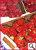 Fragole