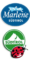 marlene