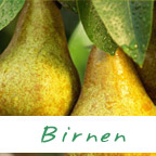 birnen