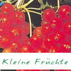 kleine fruchte