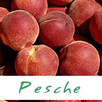 pesche
